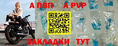 PSILOCYBIN Донской
