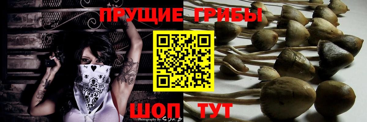 Галлюциногенные грибы прущие грибы  Вход с VPN  Лосино-Петровский  Псилоцибиновые грибы MAGIC MUSHROOMS 